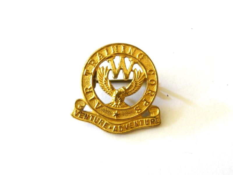 Air Training Corps Welfare Lapel Badge.