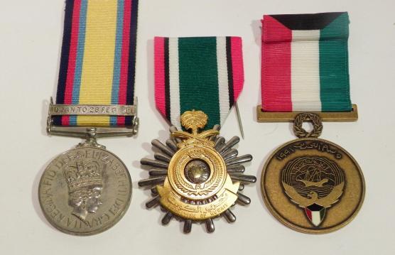 Gulf War Medal & Clasp & Medals to Snell Royal Navy.