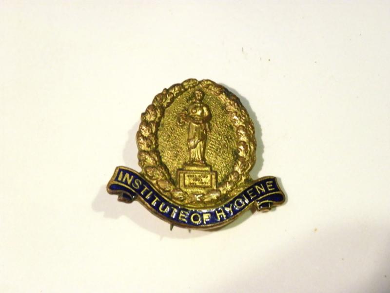 Vintage Institute of Hygiene Pin Badge – Gaunt