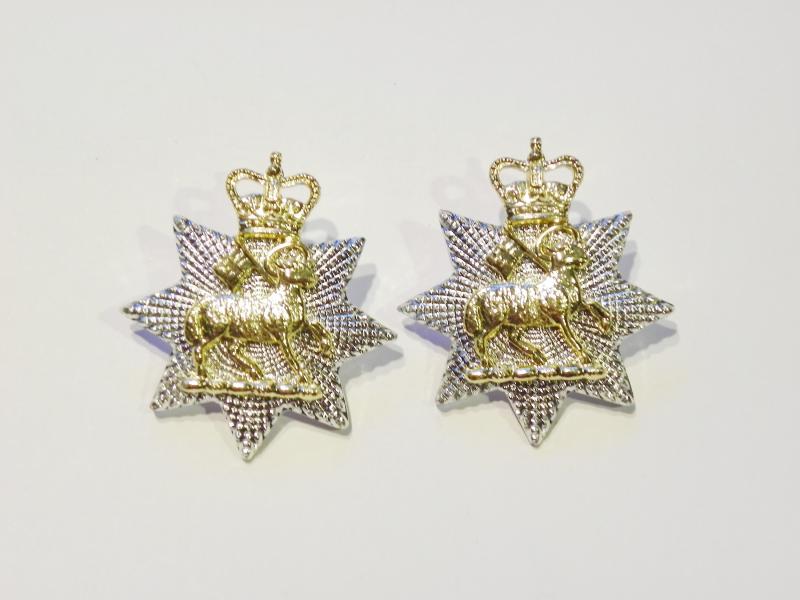 Pair Queens Royal Surry Regiment Collars.