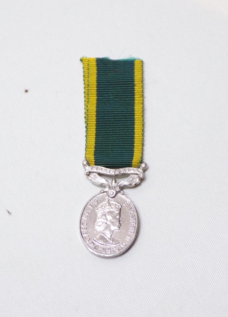 Miniature QEII Territorial Efficiency Medal.